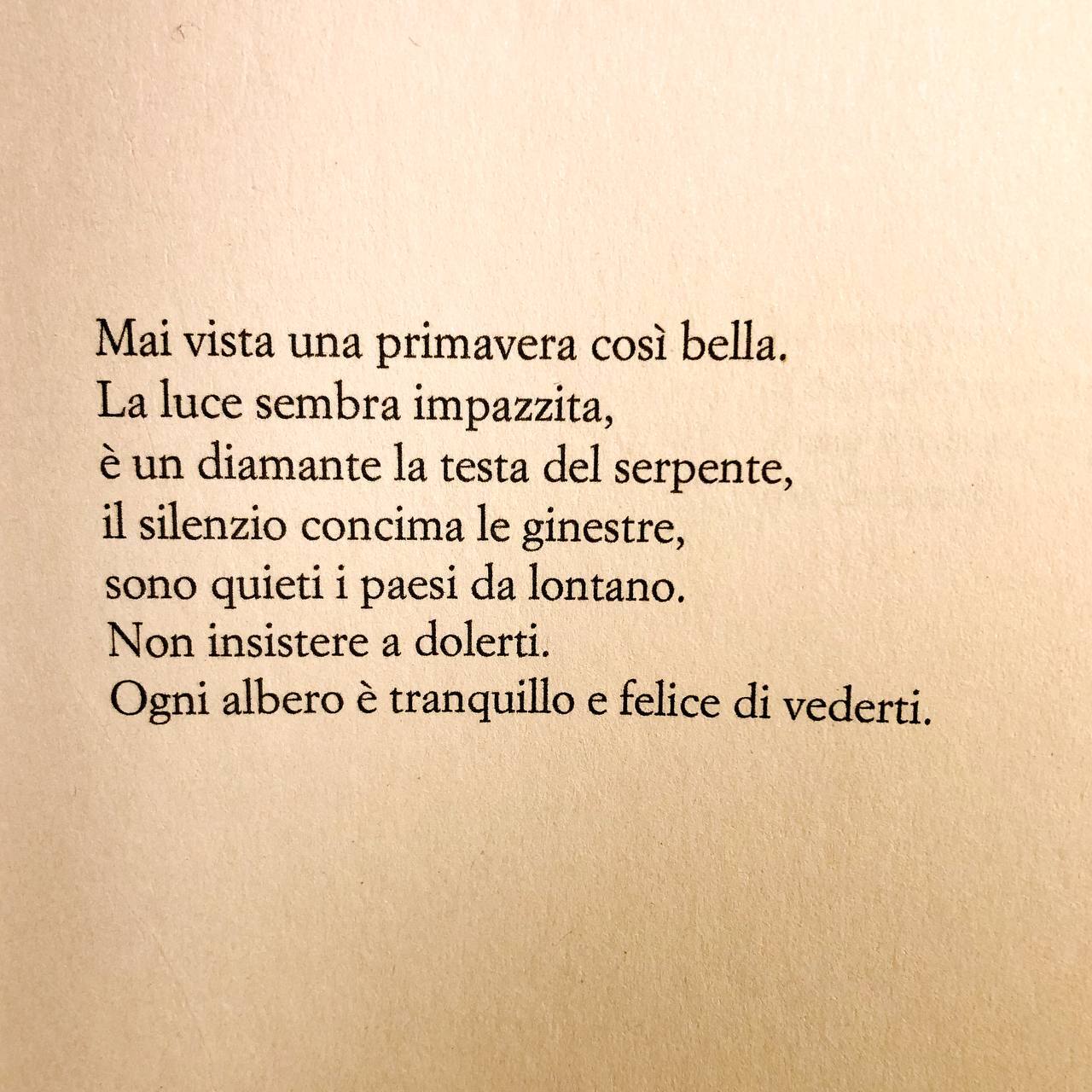 poesia primavera franco arminio resteranno i canti bompiani nello di coste foto