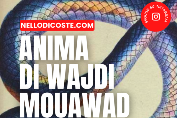 Anima di Wajdi Mouawad: lutto, trauma e giustizia
